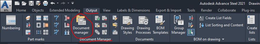 Document Manager in Advance Steel - Output tab